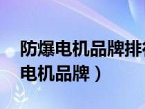 防爆电机品牌排行榜前十名 国产（国内防爆电机品牌）