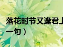 落花时节又逢君上一句诗（落花时节又逢君上一句）