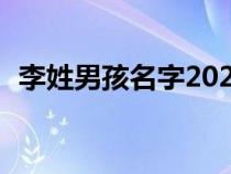 李姓男孩名字2021（李姓男孩100分名字）