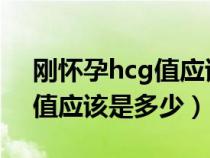 刚怀孕hcg值应该是多少正常（刚怀孕HCG值应该是多少）