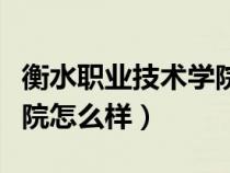 衡水职业技术学院怎么样啊（衡水职业技术学院怎么样）