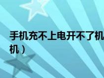 手机充不上电开不了机修一下多少钱（手机充不上电开不了机）