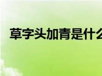 草字头加青是什么字怎么读（草字头加青）