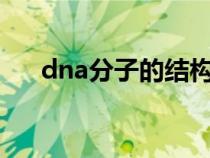 dna分子的结构式（DNA分子的结构）