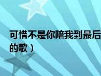 可惜不是你陪我到最后的歌词（可惜不是你陪我到最后是谁的歌）