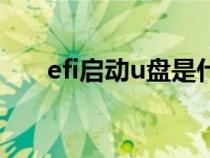 efi启动u盘是什么格式（efi启动u盘）