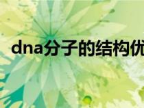 dna分子的结构优质课（DNA分子的结构）