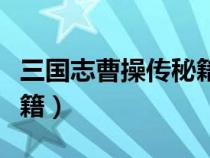 三国志曹操传秘籍超全文库（三国志曹操传秘籍）