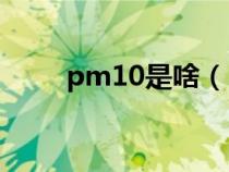 pm10是啥（PM10是什么污染物）