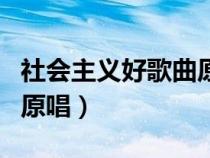 社会主义好歌曲原唱儿童版（社会主义好歌曲原唱）