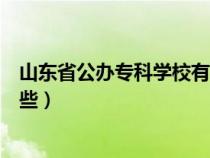 山东省公办专科学校有哪些大学（山东省公办专科学校有哪些）