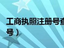 工商执照注册号查询网（怎么查营业执照注册号）