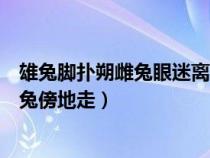 雄兔脚扑朔雌兔眼迷离比喻什么（雄兔脚扑朔雌兔眼迷离双兔傍地走）