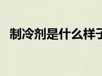 制冷剂是什么样子的（制冷剂是什么成分）