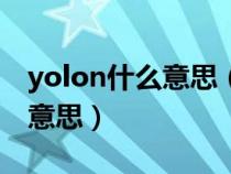 yolon什么意思（美国人常说的YOLO是什么意思）