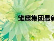 雏鹰集团最新消息（博客雏鹰网）