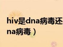 hiv是dna病毒还是rna病毒（hiv是dna还是rna病毒）