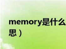 memory是什么意思呀（memory是什么意思）