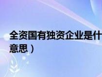 全资国有独资企业是什么意思啊（全资国有独资企业是什么意思）