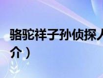 骆驼祥子孙侦探人物性格（骆驼祥子孙侦探简介）