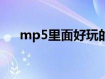 mp5里面好玩的游戏（mp5游戏下载）