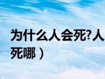 为什么人会死?人死了会去哪里?（为什么人会死哪）