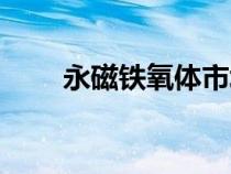 永磁铁氧体市场分析（永磁铁氧体）