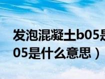 发泡混凝土b05是什么意思呀（发泡混凝土B05是什么意思）