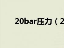 20bar压力（23bar压力是什么意思）