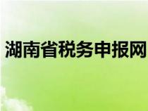 湖南省税务申报网（湖南税务网上申报系统）