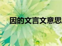 因的文言文意思解释（因的文言文意思）