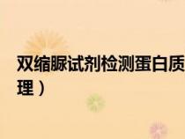 双缩脲试剂检测蛋白质原理实验（双缩脲试剂鉴定蛋白质原理）