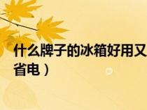 什么牌子的冰箱好用又省电又便宜（什么牌子的冰箱好用又省电）