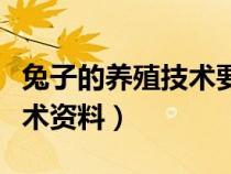 兔子的养殖技术要点及注意事项（兔子养殖技术资料）