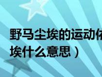 野马尘埃的运动依靠什么有什么作用（野马尘埃什么意思）