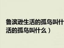 鲁滨逊生活的孤岛叫什么他认为岛上可分为两级（鲁滨逊生活的孤岛叫什么）