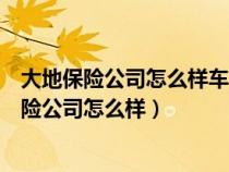 大地保险公司怎么样车险能不能买大地保险公司的（大地保险公司怎么样）