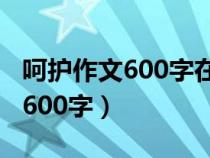 呵护作文600字在我刚出生的时候（呵护作文600字）