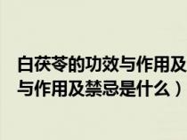 白茯苓的功效与作用及禁忌是什么用及禁忌（白茯苓的功效与作用及禁忌是什么）