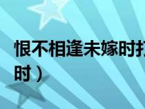 恨不相逢未嫁时打一准确生肖（恨不相逢未嫁时）