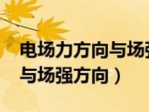 电场力方向与场强方向的区别?（电场力方向与场强方向）