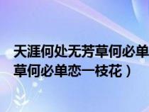 天涯何处无芳草何必单恋一枝花出自哪首诗（天涯何处无芳草何必单恋一枝花）