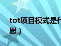 tot项目模式是什么意思（tot模式是什么意思）