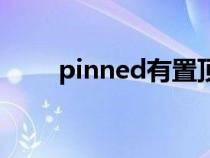 pinned有置顶的意思吗（pinned）