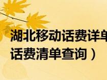 湖北移动话费详单查询（湖北移动网上营业厅话费清单查询）