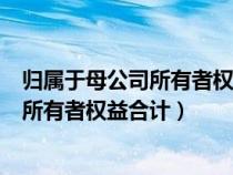 归属于母公司所有者权益合计属于什么科目（归属于母公司所有者权益合计）