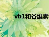 vb1和谷维素的功效与作用（vb1）