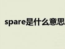 spare是什么意思翻译（spare是什么意思）