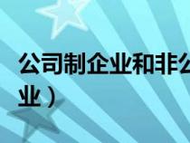 公司制企业和非公司制企业的区别（公司制企业）