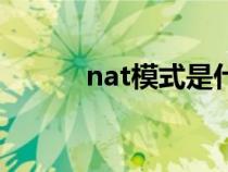 nat模式是什么意思（nat模式）